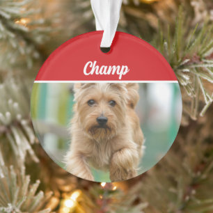 Cairn Terrier Hond Vakantiefoto Kerstmis Ornament