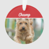 Cairn Terrier Hond Vakantiefoto Kerstmis Ornament (voorkant)