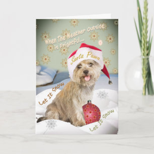 Cairn Terrier Laisser Les Cartes De Neige