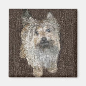Cairn Terrier Magnet (Devant)