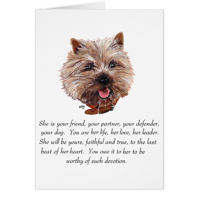 Cairn Terrier Objet-souvenir - FEMELLE (Devant)
