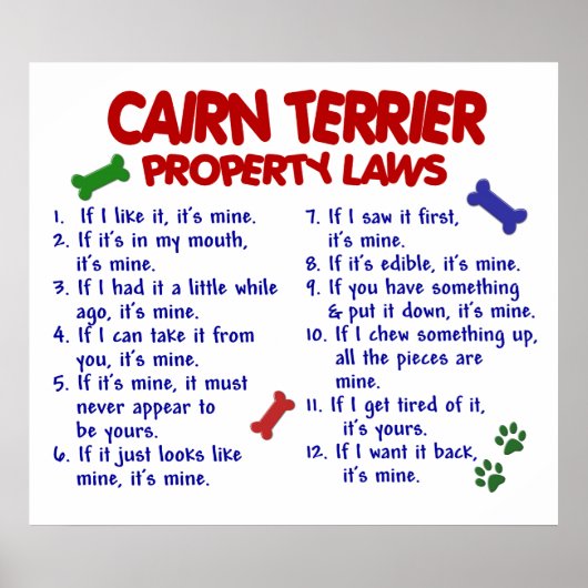 CAIRN TERRIER PL2 POSTER (Voorkant)