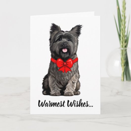 Cairn Terrier portant une carte de voeux de Noël (Devant)