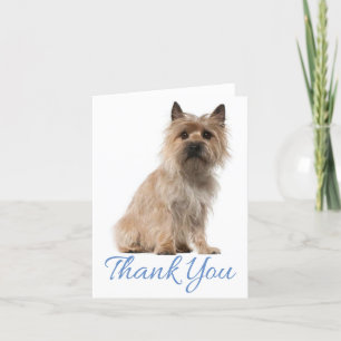 Cairn Terrier Puppy Dog Bedankt Blank Note Kaart