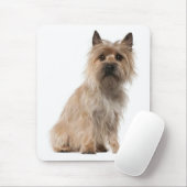 Cairn Terrier Puppy Dog Mousepad Muismat (Met muis)