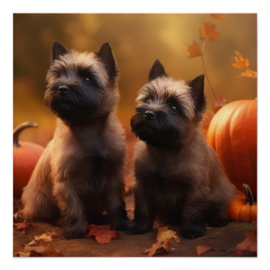 Cairn Terrier Puppy Herfst Delight Pompoen Perfect Poster (Voorkant)