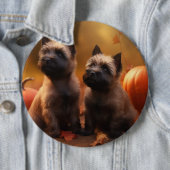 Cairn Terrier Puppy Herfst Delight Pompoen Ronde Button 6,0 Cm (In situ)