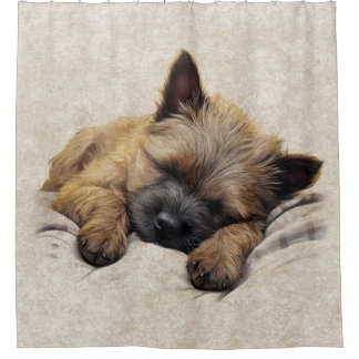 Cairn Terrier Puppy Hond Slaapkamer Badkamer Douchegordijn
