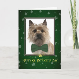 Cairn Terrier St. Patrick's Day Kaart