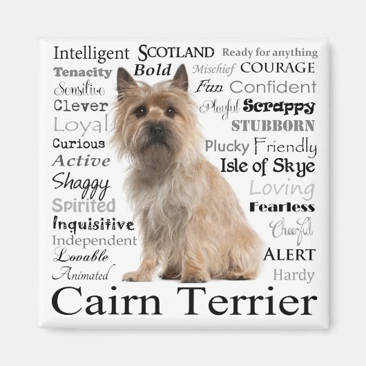 Cairn Terrier Traits Magnet (Devant)
