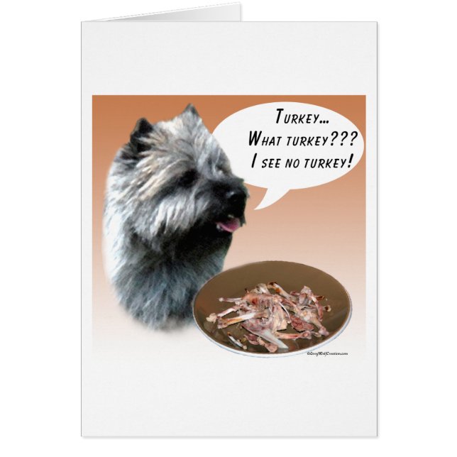 Cairn Terrier Turkije (Voorkant)