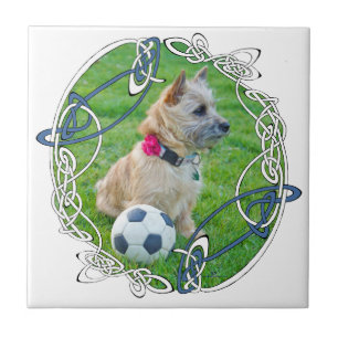 Cairn Terrier Voetbal Tegeltje