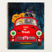 Cairn Terrier voiture de conduite effrayant Hallow (Devant)