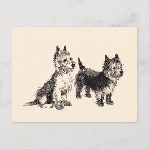 Cairn Terriërs Oude Pen & Inkt Briefkaart