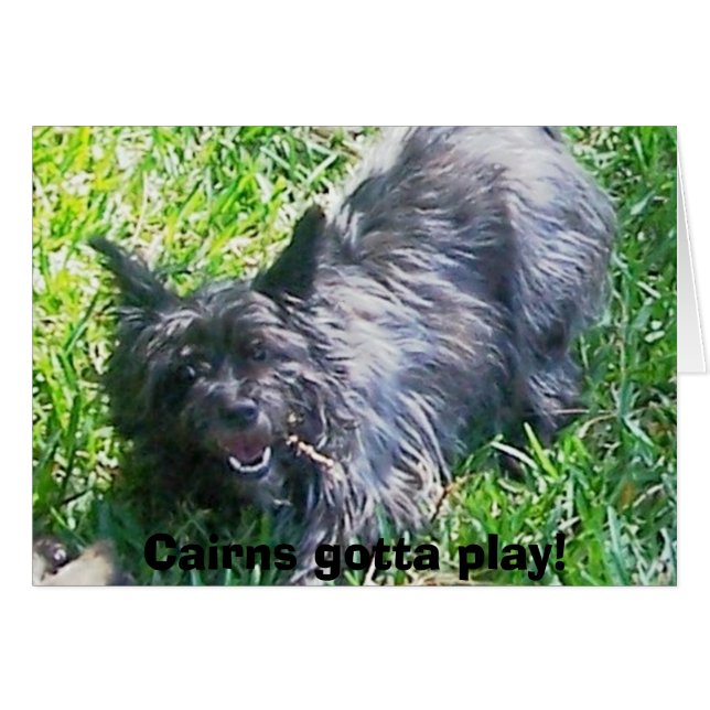 Cairns moeten spelen. (Voorkant Horizontaal)