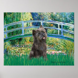 Caïro (Brindle 21) - Lily Pond Bridge Poster
