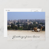 cairo camel briefkaart (Voorkant / Achterkant)