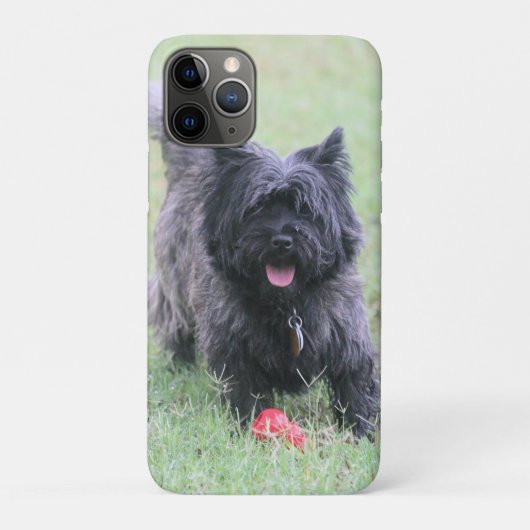 Caïro Case-Mate iPhone Case (Achterkant)