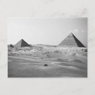 Caïro Egypte, Giza Pyramids Briefkaart
