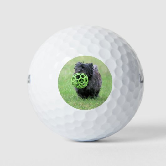 Caïro Golfballen (Voorkant)