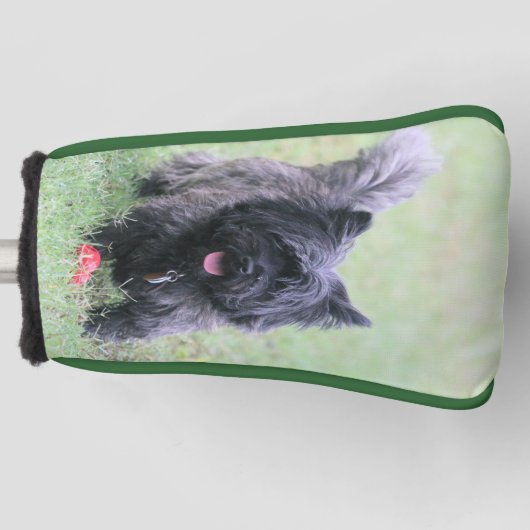 Caïro Golfheadcover (Voorkant)