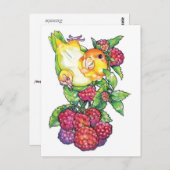 Caïro met frambozen briefkaart (Voorkant / Achterkant)