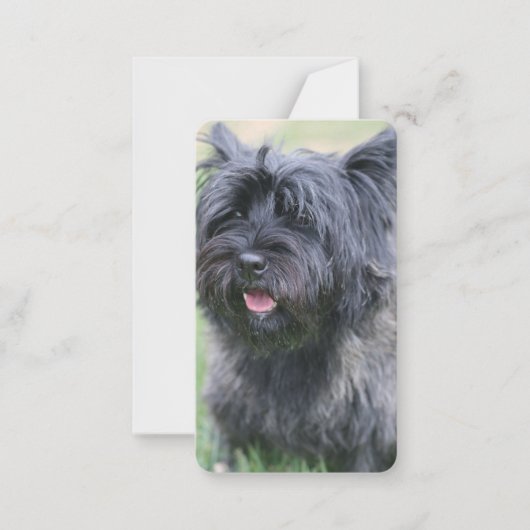 Caïro Notitiekaartje (Voorkant)