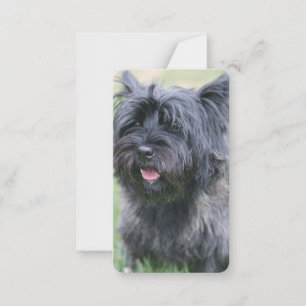 Caïro Notitiekaartje