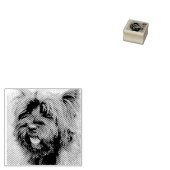 Caïro Rubberstempel (Gestempeld)