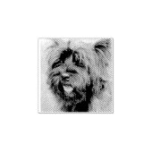 Caïro Rubberstempel (Afrduk)