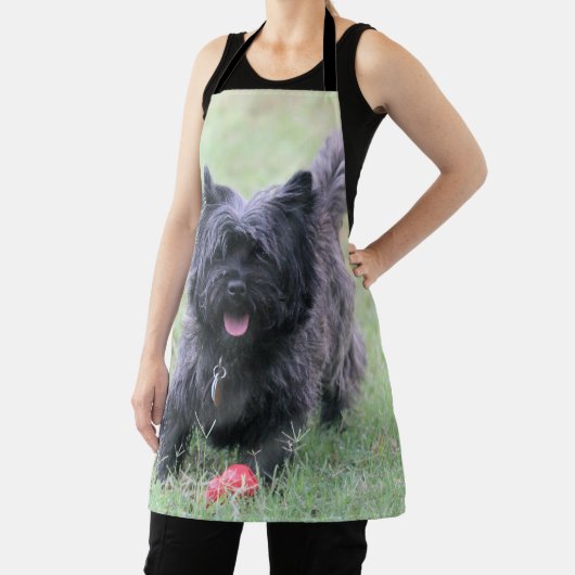 Caïro Schort (Insitu)