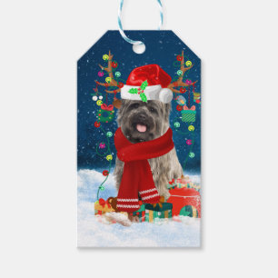 Caïro Terrier Dog in Snow met kerstcadeautjes Cadeaulabel
