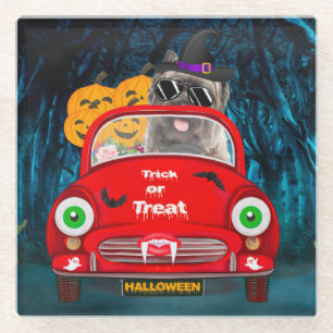 Caïro Terrier Driving Car Scary Halloween Glazen Onderzetter