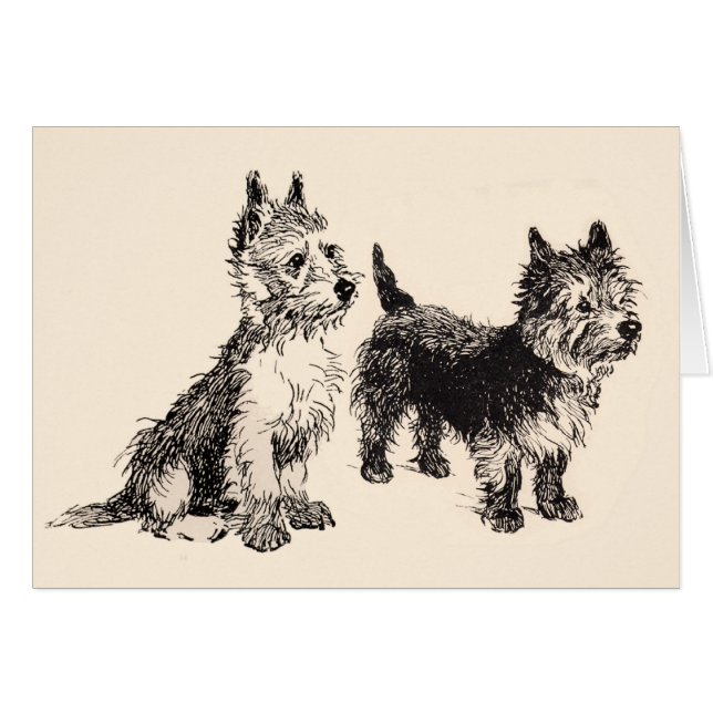 Caïro Terriers  Pen & Ink (Voorkant Horizontaal)