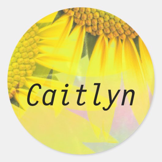 Caitlyn Rainbow Sunflower Naam Stickers (Voorkant)