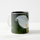 Cala Lilly Mok (Voorkant links)