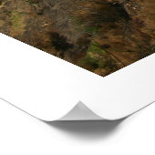 Calabria - Arena, Italië Poster (Hoek)