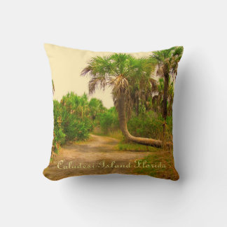 Caladesi Island Dunedin Fl Coussin