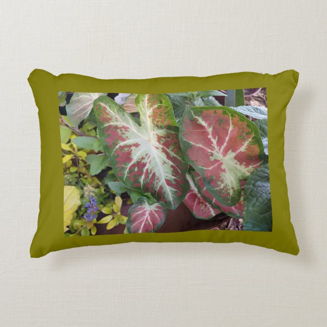 Caladium Garden  Accent Kussen (Voorkant)