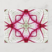 Caladium Kaleidoscope, rood, wit en groen Briefkaart (Voorkant)