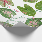 Caladium Pattern for plant lovers Cadeaupapier (Hoek)