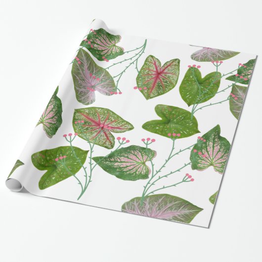 Caladium Pattern for plant lovers Cadeaupapier (Uitgerold)