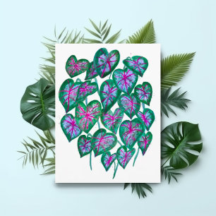 Caladiumroze en groene bladeren Waterverf kunst Briefkaart