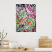 caladiums_plant_schilderen poster (Keuken)