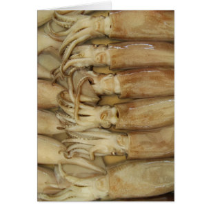 Calamari - Carte Calamari