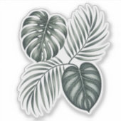 Calathea leaf sticker (Voorkant)