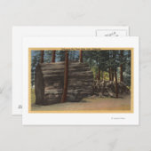 Calaveras Big Trees State Park Briefkaart (Voorkant / Achterkant)