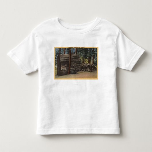 Calaveras Big Trees State Park Kinder Shirts (Voorkant)