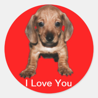 Calcomanía redonda teckel ronde sticker