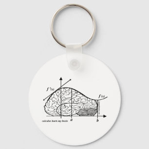 Calculus Hurft mijn brein Sleutelhanger